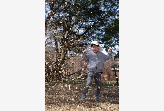 はすねこ合同会社