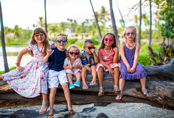 Hawaii Life Photography & Media