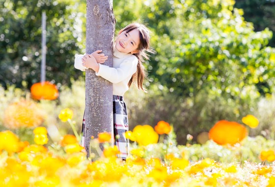 Field of the sun.creative