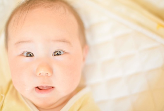 ヒロセ モトヒロ