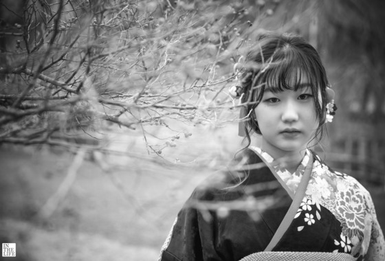 伊藤写真事務所 イン・ザ・ライフ