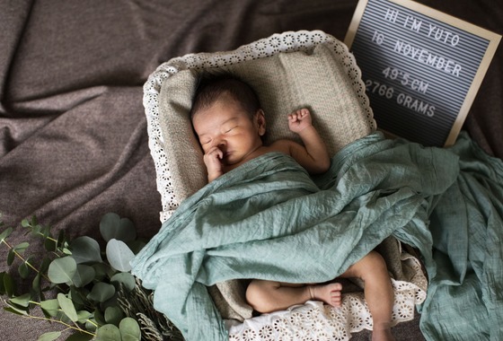 Hamuこども写真館