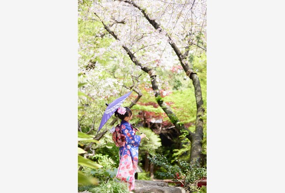 Studio RedStar/家族の想い出