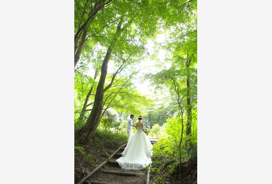 スタジオスマイリー (ddnochu)