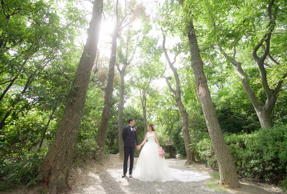 AVE STUDIO materials (五島 翔太)