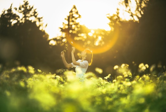 ケンタソーヤング