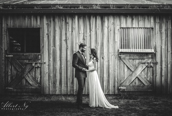 ALBERT NG photography