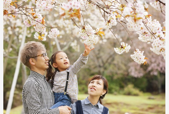 B WORKs PHOTOGRAPHY（丸山  隆史）