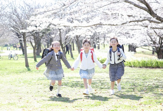 斉藤　ゆか（nico photo)
