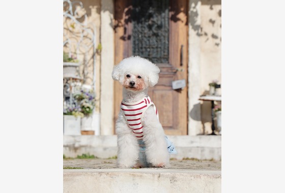 株式会社Photo Lucky