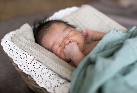 Hamuこども写真館