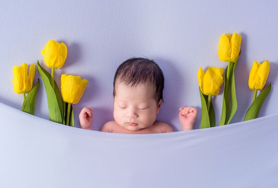 AXiS Photo Servise 藤井靖史