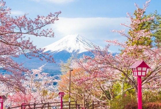 レオン・スナップサービス