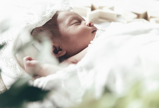 yamegrapher 〜平島写真事務所〜