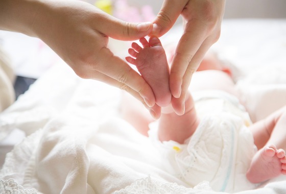 yamegrapher 〜平島写真事務所〜