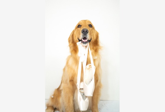 スマイルチューン