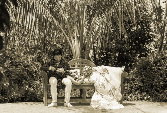 Hawaii Life Photography & Media