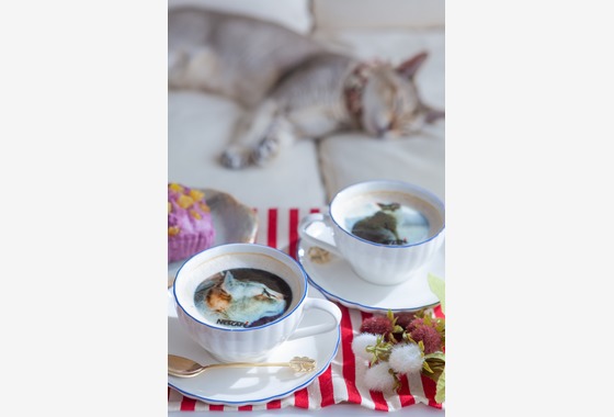 株式会社クリフ