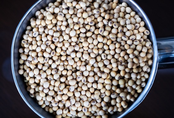 写真家 越智貴雄