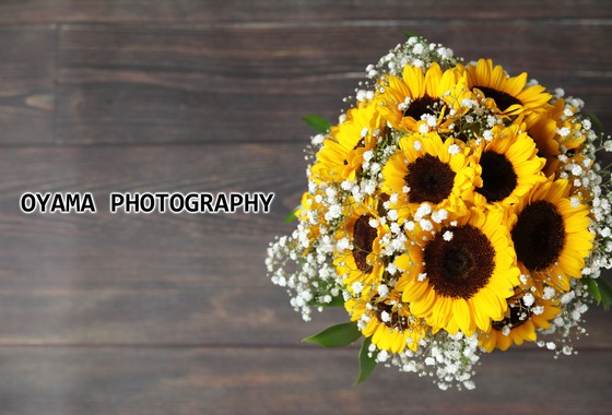 OYAMA PHOTOGRAPHY