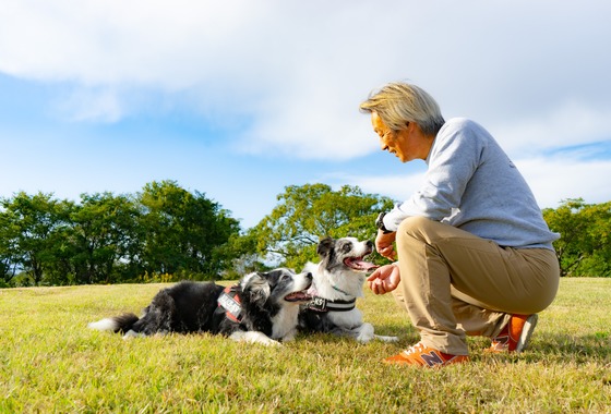 フォトグラフ山王