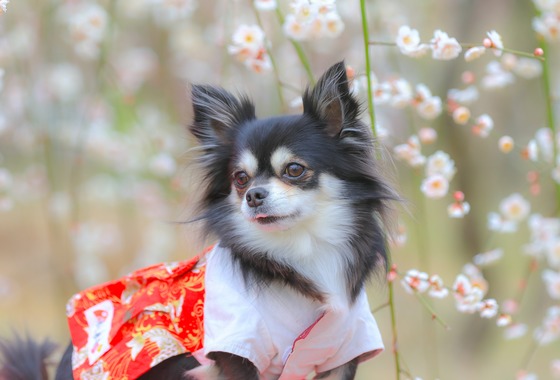 高橋 透（Coo&Sea STUDIO代表）