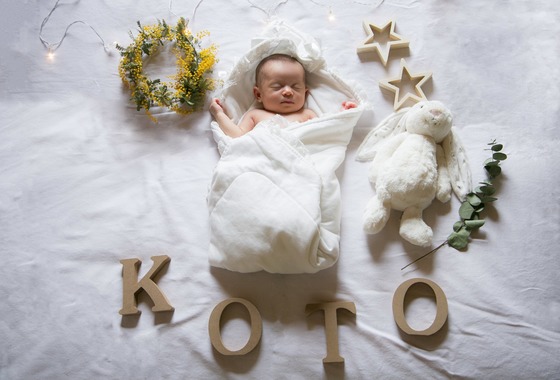 yamegrapher 〜平島写真事務所〜