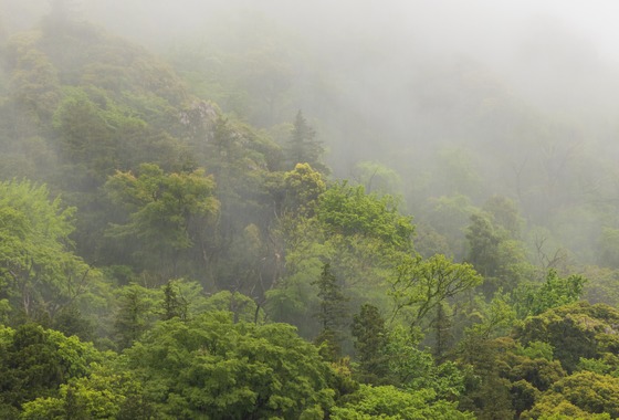 フォトオフィス　ルミエ