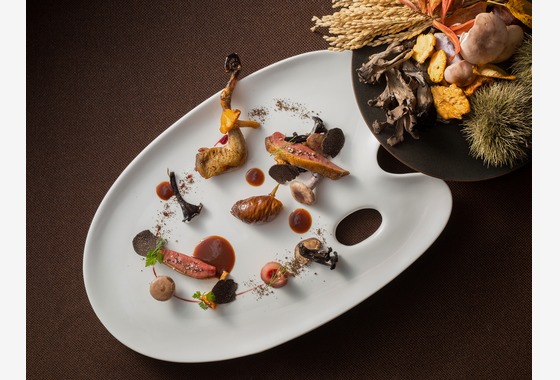 スタジオライトクロス