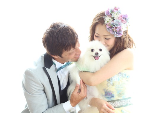 スタジオスマイリー (ddnochu)