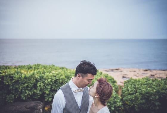 Field of the sun.creative