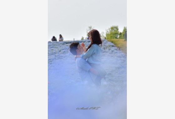 Studio OWL（スタジオ　アウル）