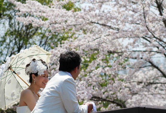 セリエドレッシング