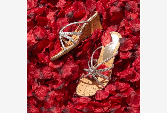 TFP　クリエイティブ