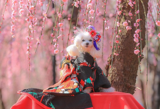 高橋 透（Coo&Sea STUDIO代表）