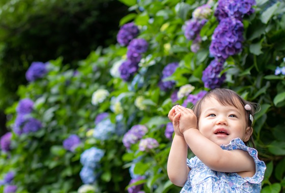 かわもとえつこ