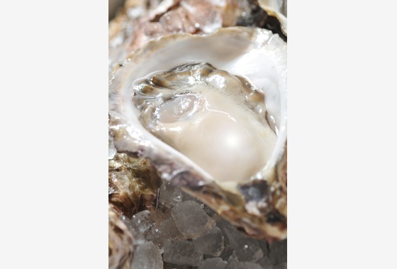 スタジオ　アクティビスト